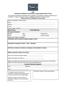 Veterinary Certificate Fill Online Printable Fillable Regarding