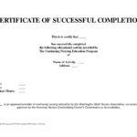 10 Template For A Certificate Of Completion | Business Letter Regarding Certificate Template For Project Completion
