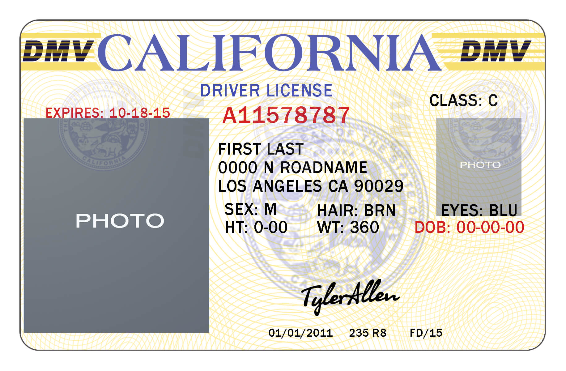 11Ea1 Free Drivers License Template | Wiring Resources Inside Texas Id Card Template