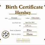12 Birth Certificate Template | Radaircars In Fake Birth Certificate Template