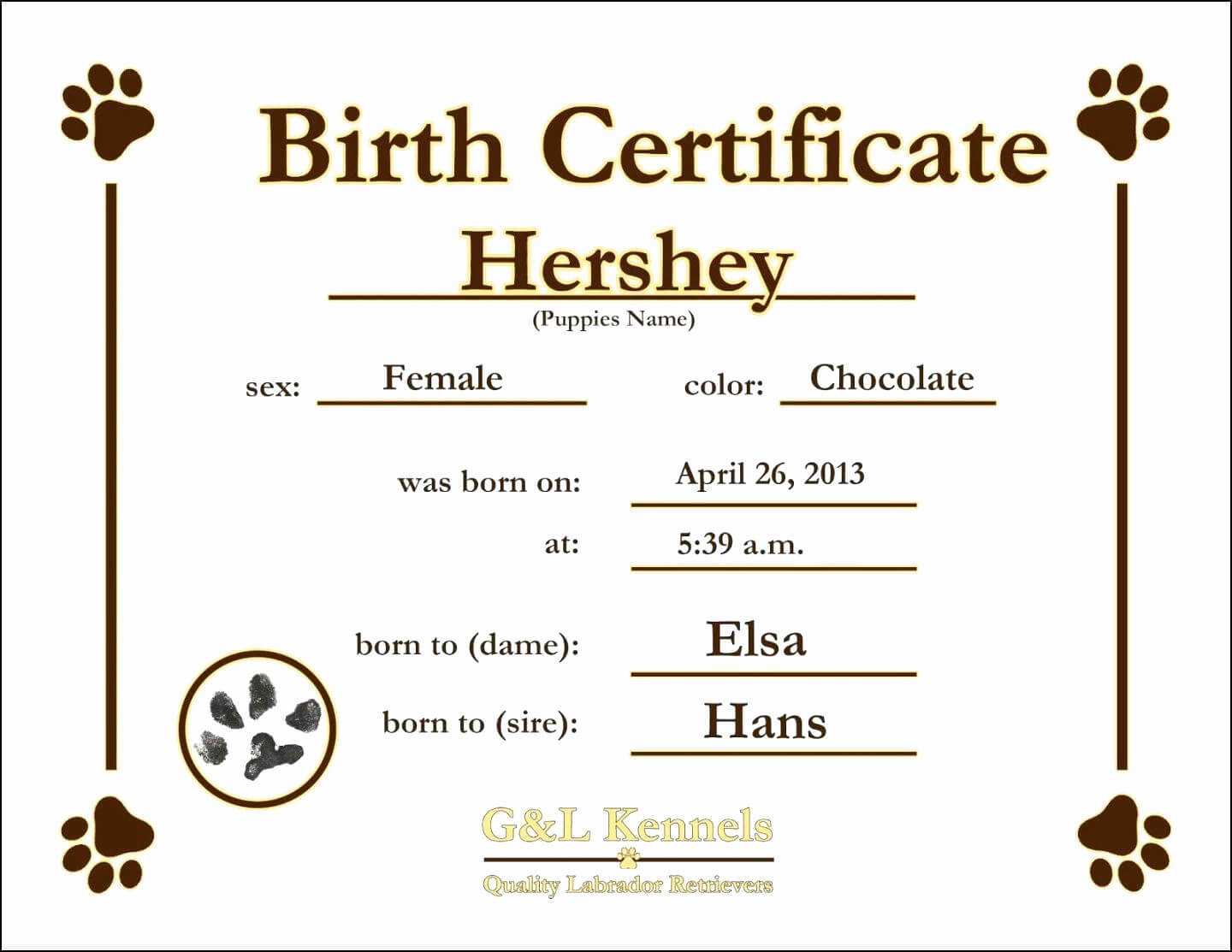 12 Birth Certificate Template | Radaircars Intended For Baby Doll Birth Certificate Template