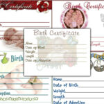 5 Reborn Baby #1 "print Yourself" Birth Certificate Graphics Unlimited You  Print Throughout Baby Doll Birth Certificate Template