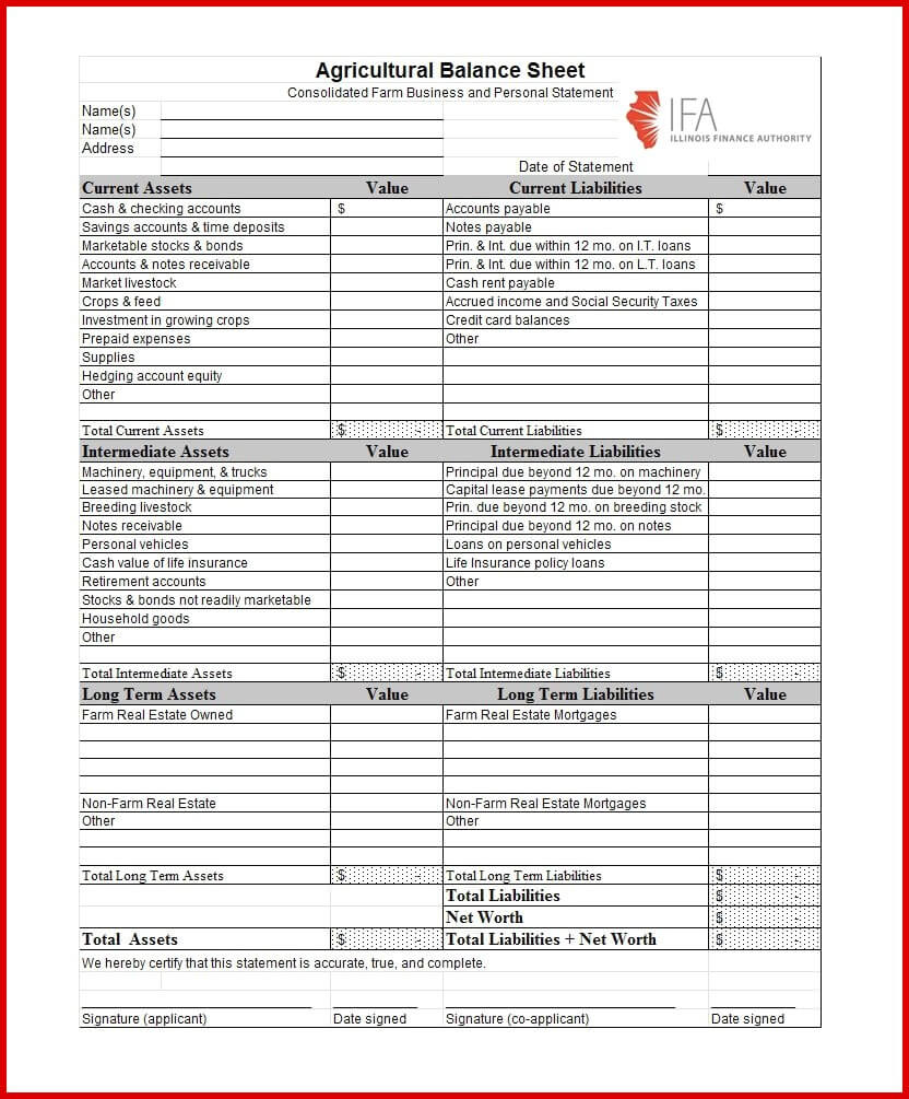 Account Spreadsheet Examples Lovely Balance Template Wing Within Credit Card Statement Template Excel