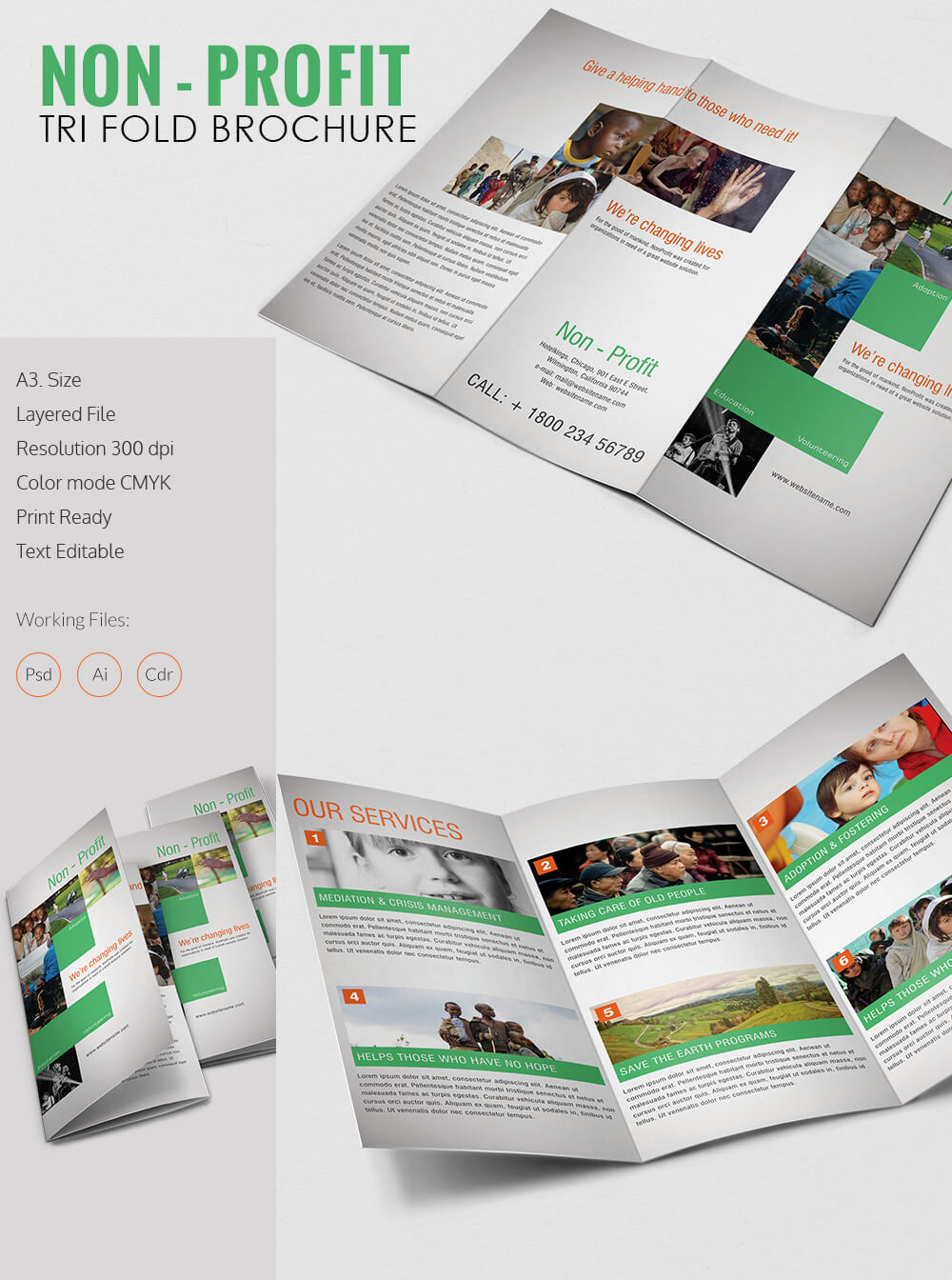 Amazing Non Profit A3 Tri Fold Brochure Template Download Within Ngo Brochure Templates