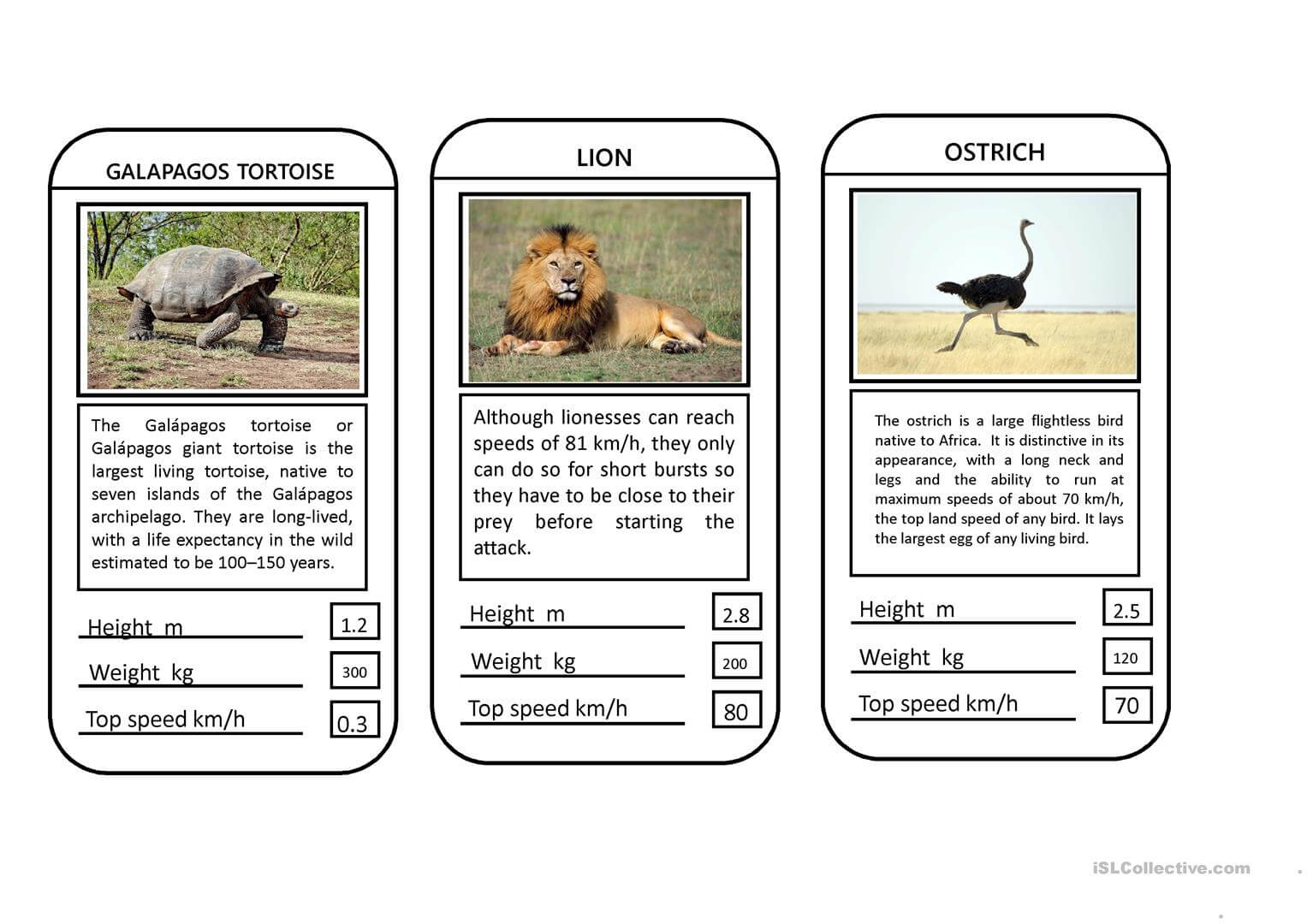 Animal Top Trumps Game – English Esl Powerpoints For With Top Trump Card Template