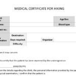 B177227 Medical Certificate Sample | Wiring Library With Fake Medical Certificate Template Download