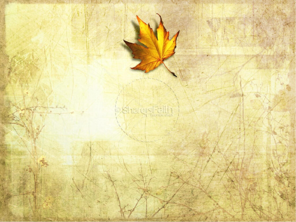 best-54-fall-leaves-powerpoint-background-on-hipwallpaper-in-free-fall