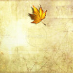 Best 54+ Fall Leaves Powerpoint Background On Hipwallpaper In Free Fall Powerpoint Templates