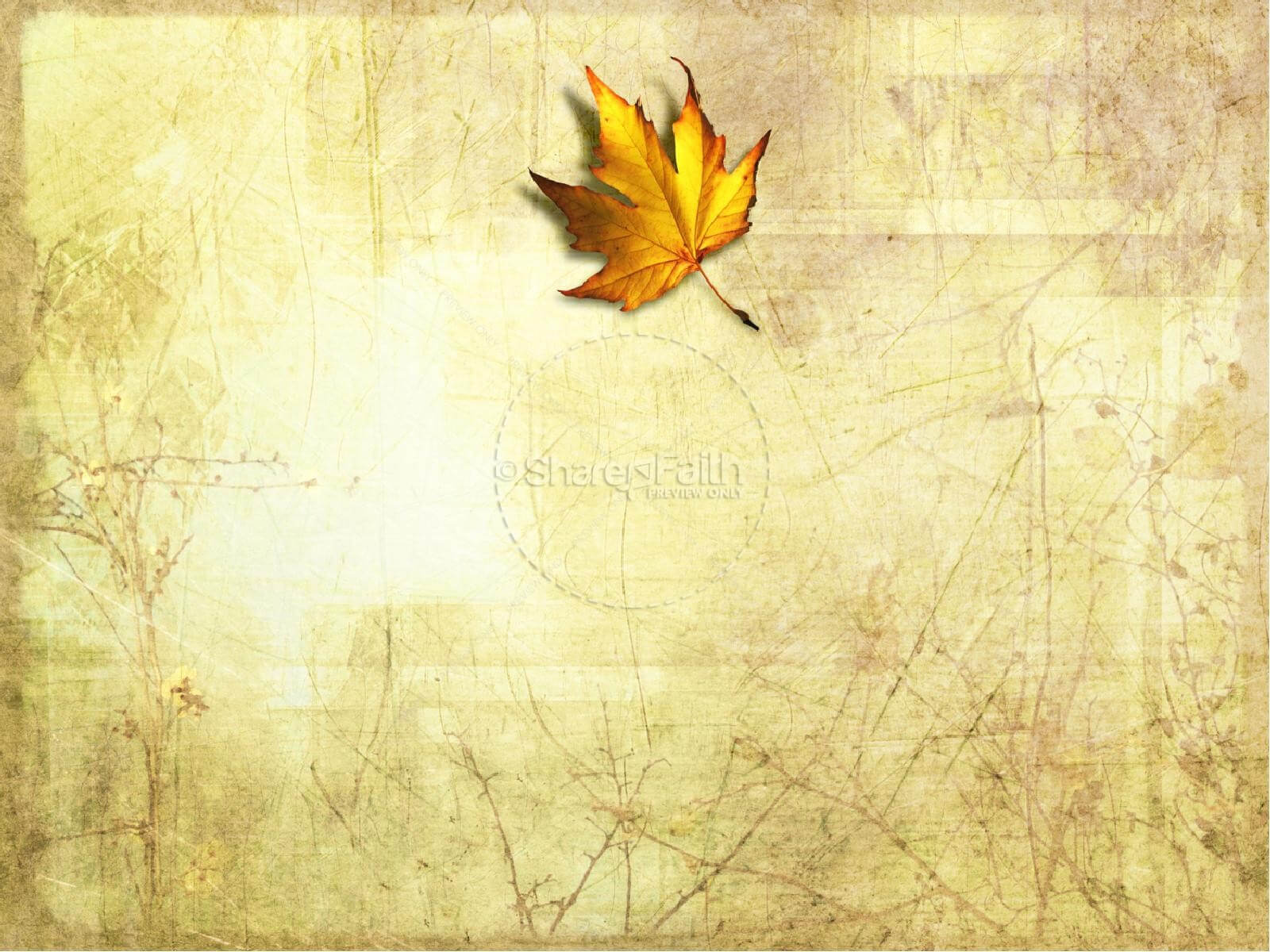 Best 54+ Fall Leaves Powerpoint Background On Hipwallpaper In Free Fall Powerpoint Templates