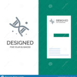 Bio, Dna, Genetics, Technology Grey Logo Design And Business Inside Bio Card Template