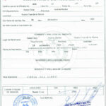 Birth Certificate Bolivia For Uscis Birth Certificate Translation Template