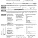 Birth Certificate Maker – Fill Online, Printable, Fillable Intended For Birth Certificate Fake Template