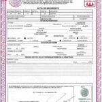 Birth Certificate Mexico Intended For Mexican Marriage Certificate Translation Template