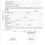 Birth Certificate Requirements | Hello Saigon! Within Birth Certificate Template For Microsoft Word