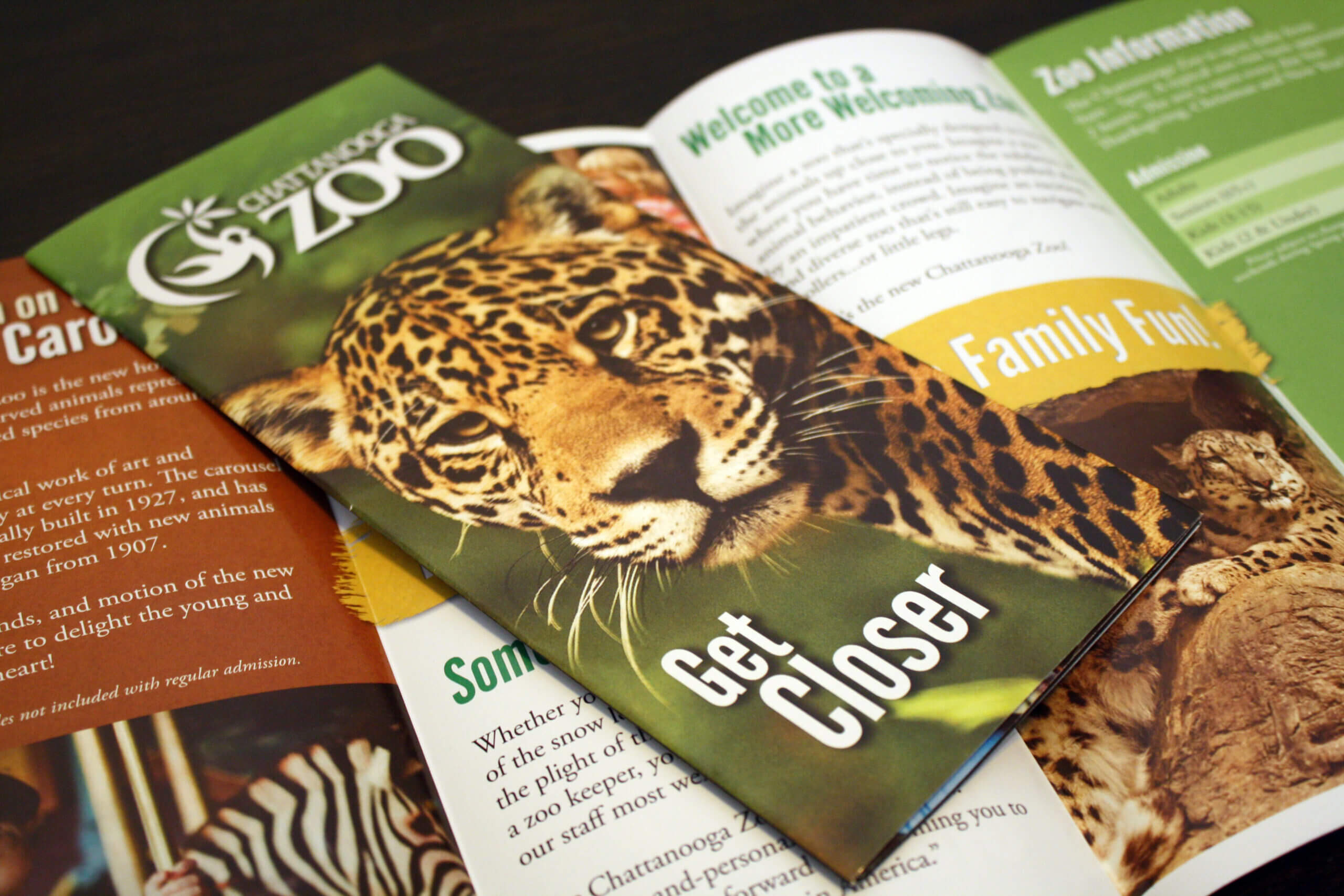 Brochure Design | Manning Design With Regard To Zoo Brochure Template