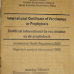 Carte Jaune – Wikipedia Pertaining To Certificate Of Vaccination Template