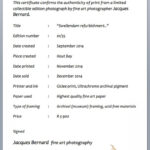 Certificate Of Authenticity Photography Template Graphy Inside Certificate Of Authenticity Photography Template