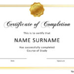 Certificate Of Completion Free Template – Barati.ald2014 Pertaining To Free Training Completion Certificate Templates