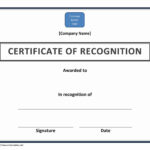 Certificate Of Recognition Doc File Intended For Certificate Of Participation Template Doc