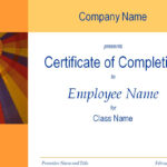 Certificate Of Training Completion Template For Free Training Completion Certificate Templates