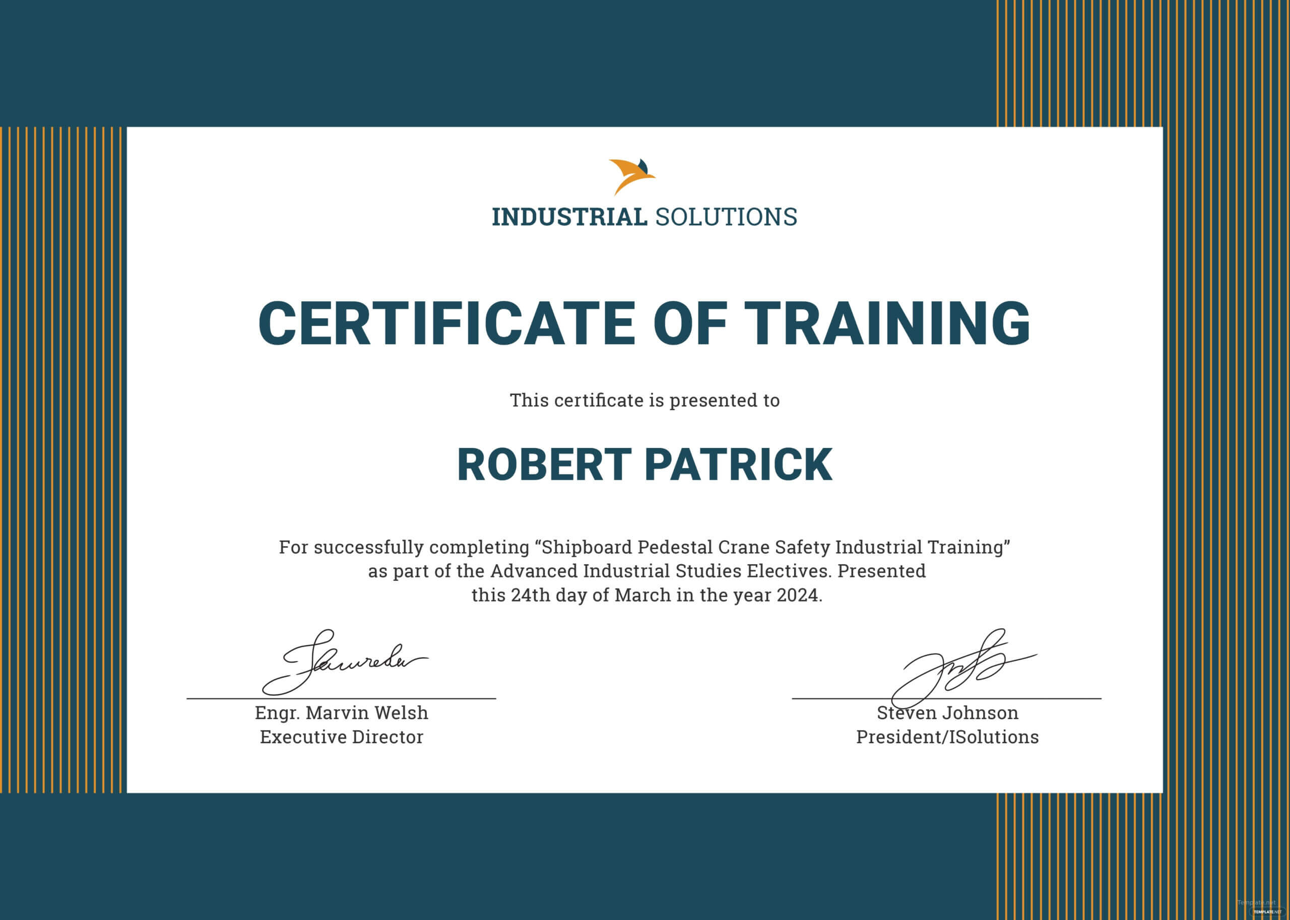 Certificate Of Training Templates – Tomope.zaribanks.co With Regard To Template For Training Certificate