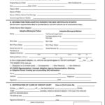 Child Adoption Certificate Template – Barati.ald2014 Inside Child Adoption Certificate Template