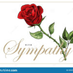 Condolences Sympathy Card Floral Red Roses Bouquet And Within Sorry For Your Loss Card Template