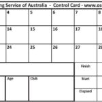 Control Cards – 30 Punch Squares (Pack Of 100) Throughout Orienteering Control Card Template