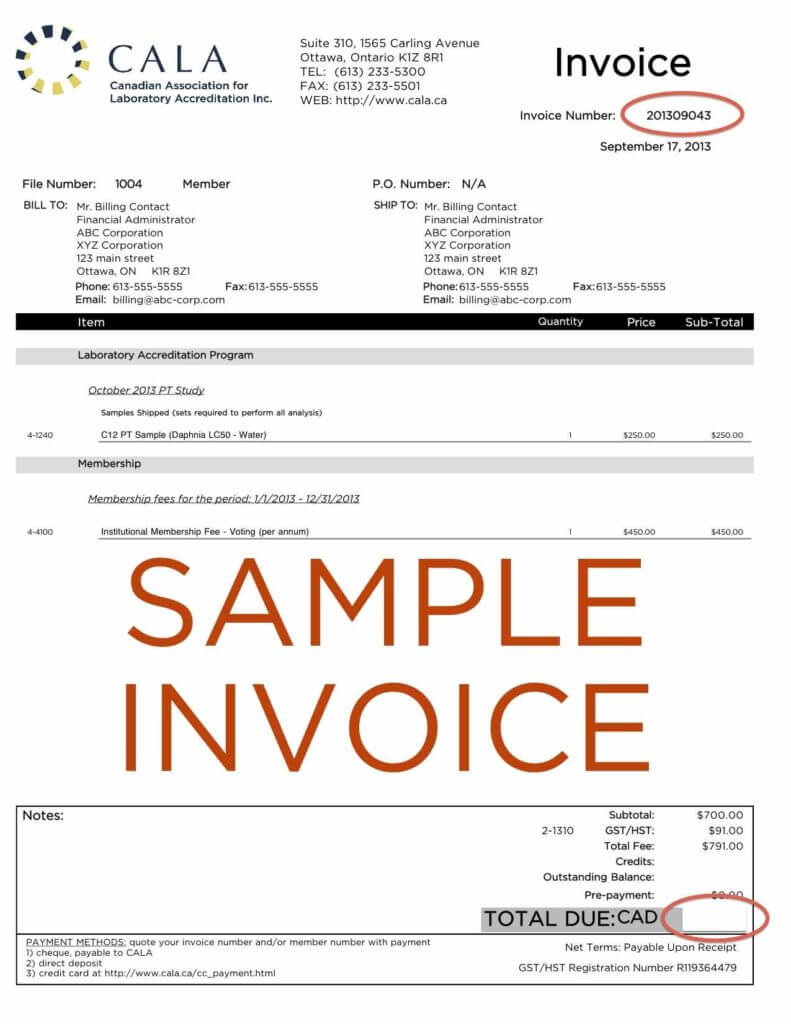 Credit Card Bill Template And Credit Card Invoice Template Within Credit Card Bill Template