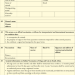Dentity, Rabies Vaccination And Movement Certificate For Throughout Rabies Vaccine Certificate Template