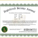 Dog Certificate Template – Barati.ald2014 With Service Dog Certificate Template