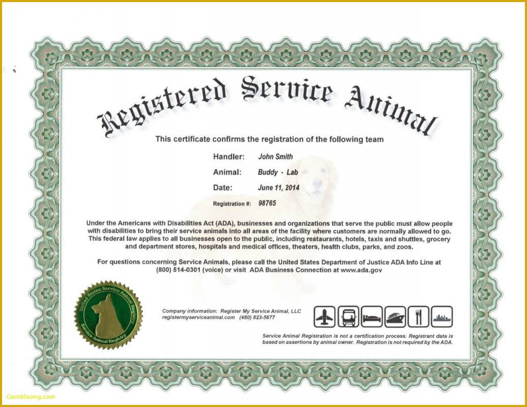 Dog Certificate Template – Barati.ald2014 With Service Dog Certificate Template