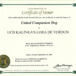 Dog Certificate Template – Carati.ald2014 For Service Dog Certificate Template