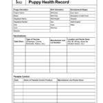 Dog Vaccination Record Printable Pdf – Fill Online Throughout Dog Vaccination Certificate Template