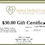 Download Hd Veterinary Health Certificate Template Regarding Veterinary Health Certificate Template