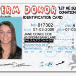 Drivers Licence Id Template – Babysitemn's Blog Regarding Georgia Id Card Template