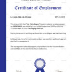 Excellent Employment Certificate Template Pertaining To Sample Certificate Employment Template