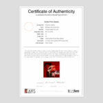 Extreme Velocity For Photography Certificate Of Authenticity Template