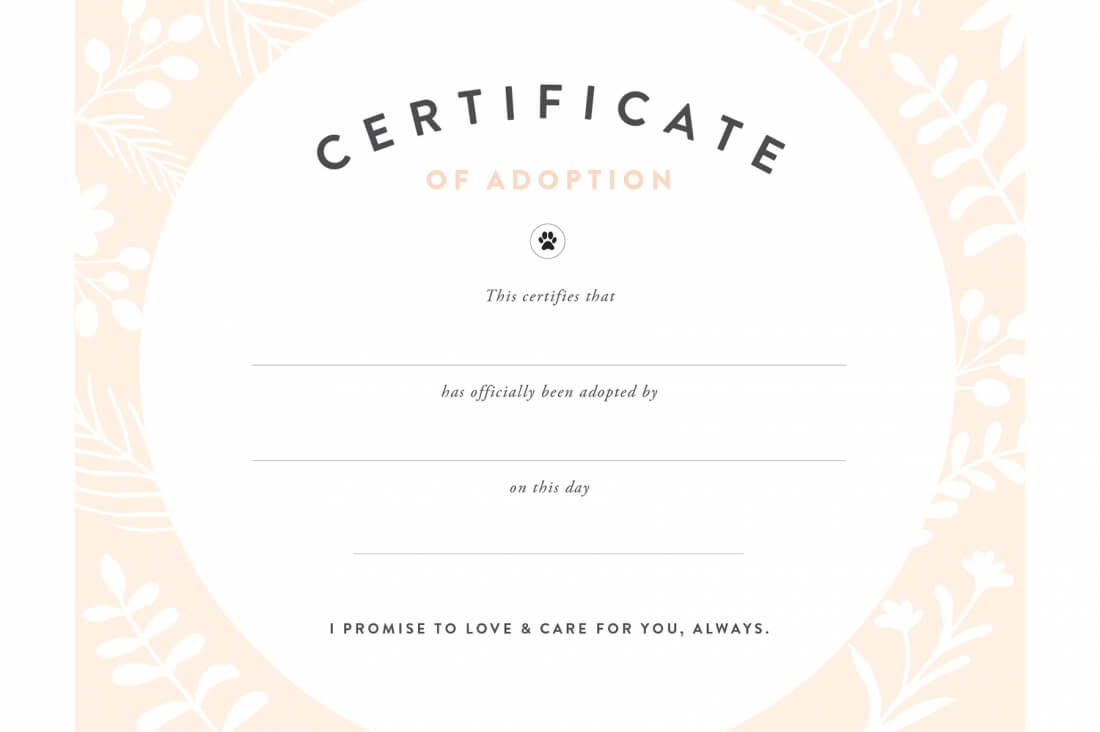 Fan Printable Adoption Certificate | Graham Website In Blank Adoption Certificate Template
