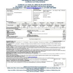 File:vehicle Insurance Certificate In India.pdf – Wikimedia For Free Fake Auto Insurance Card Template