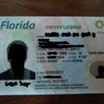 Florida Fake Id · 😇 Best Scannable Fake Ids From Idgod Throughout Florida Id Card Template