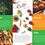 Food Brochure Templates – Tomope.zaribanks.co In Travel Brochure Template Ks2