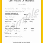 Forklift Operator Card Template – Carlynstudio For Forklift Certification Template