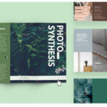Free Online Brochure Maker: Design A Custom Brochure In Canva with Online Free Brochure Design Templates