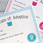 Free Printable Cat Adoption Kit | Chickabug Within Pet Adoption Certificate Template
