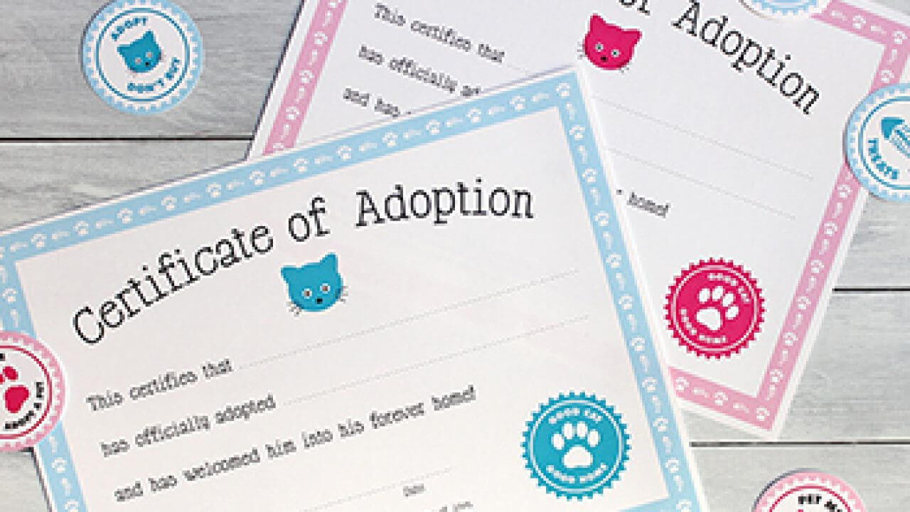 Free Printable Cat Adoption Kit | Chickabug Within Pet Adoption Certificate Template