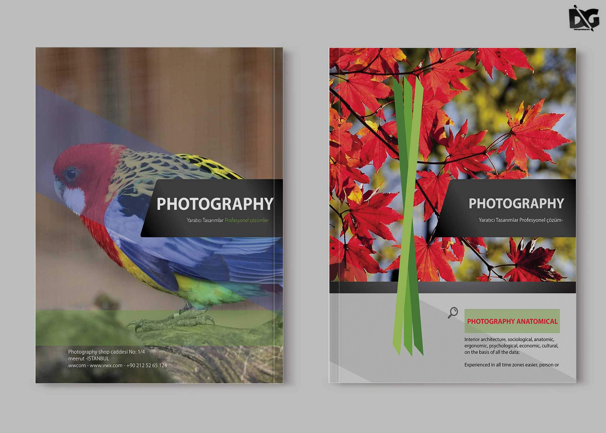 Free Zoo Photography Psd Brochure Template | Free Psd Mockup For Zoo Brochure Template