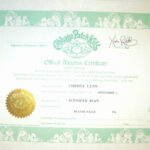 Girl Birth Certificate Template – Barati.ald2014 In Girl Birth Certificate Template