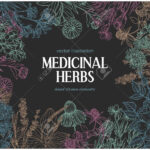 Horizontal Dark Card Template With Vintage Sketches Of Medicinal Herbs And  Flowers, Place For Text. Intended For Med Card Template