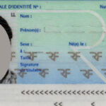 Id Cards And The Bureaucratic Maze Regarding French Id Card Template